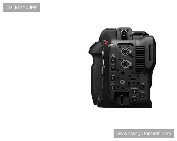 尊龙z6线上手机版下载安装教程,详细步骤帮你快速上手