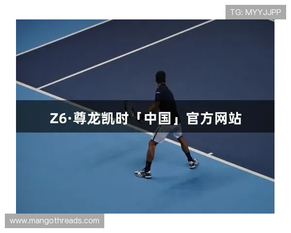 尊龙时凯官网入口：确保安全访问官方平台的实用技巧与常见问题解答