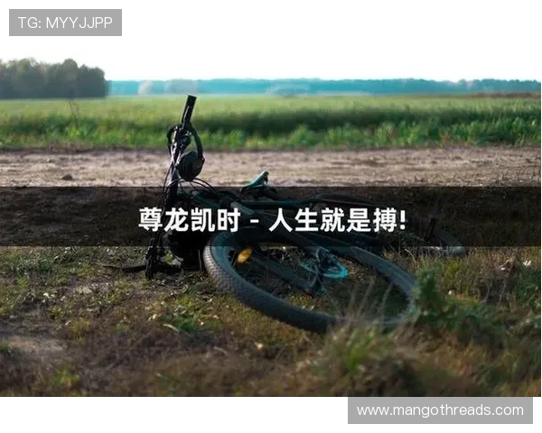 揭示尊龙凯时网投的秘密：如何在这个平台上获得更高的收益